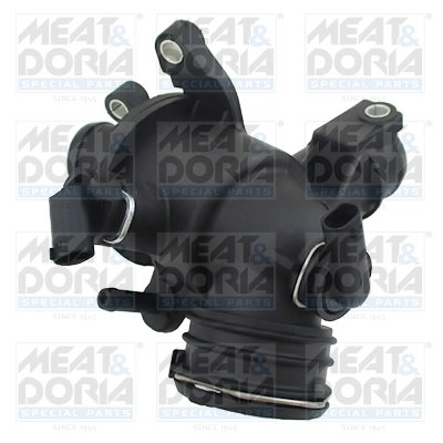 Thermostat, coolant